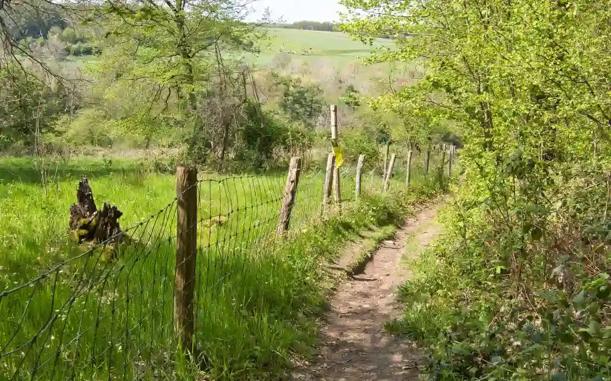 Landschap Gulpen